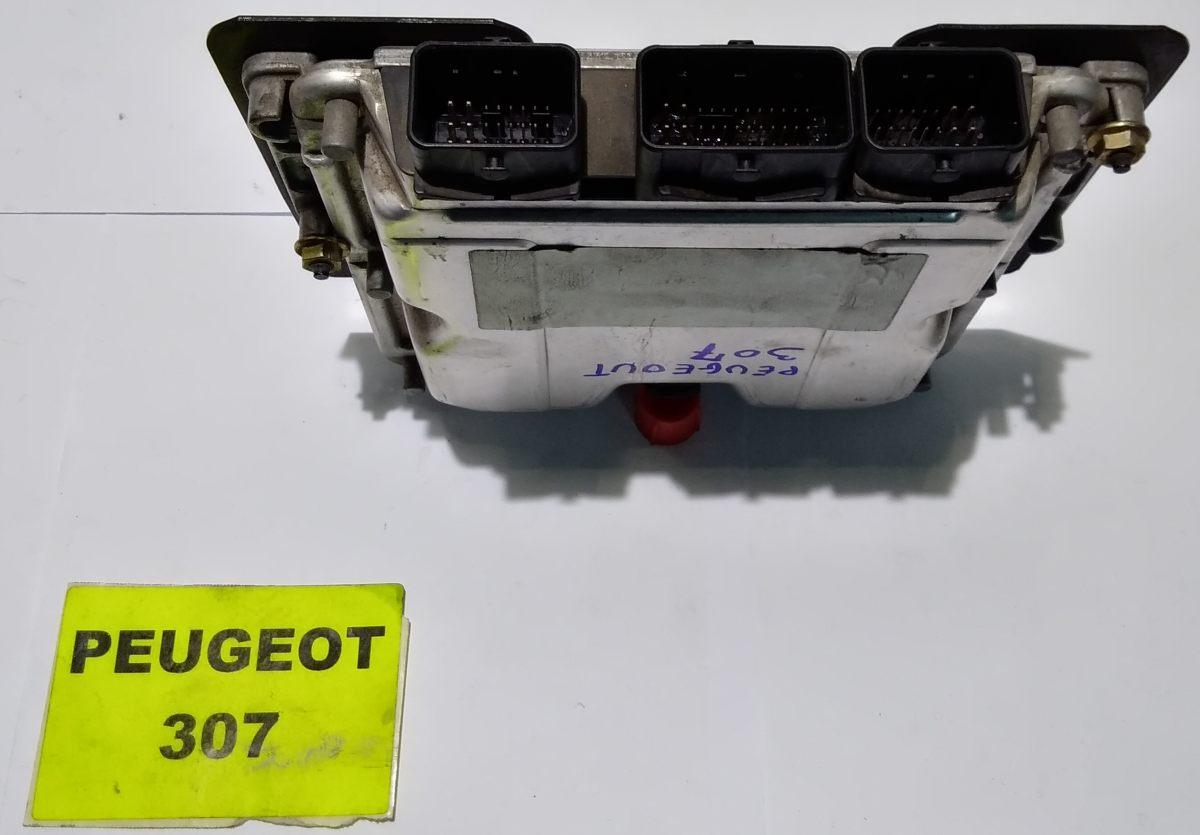 9646850580 CENTRALINA MOTORE PEUGEOT 307 <br />