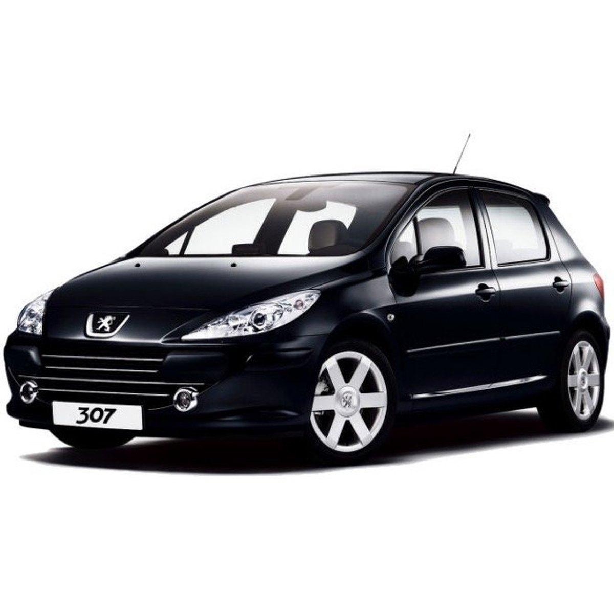 body computer peugeot 307 281148344a