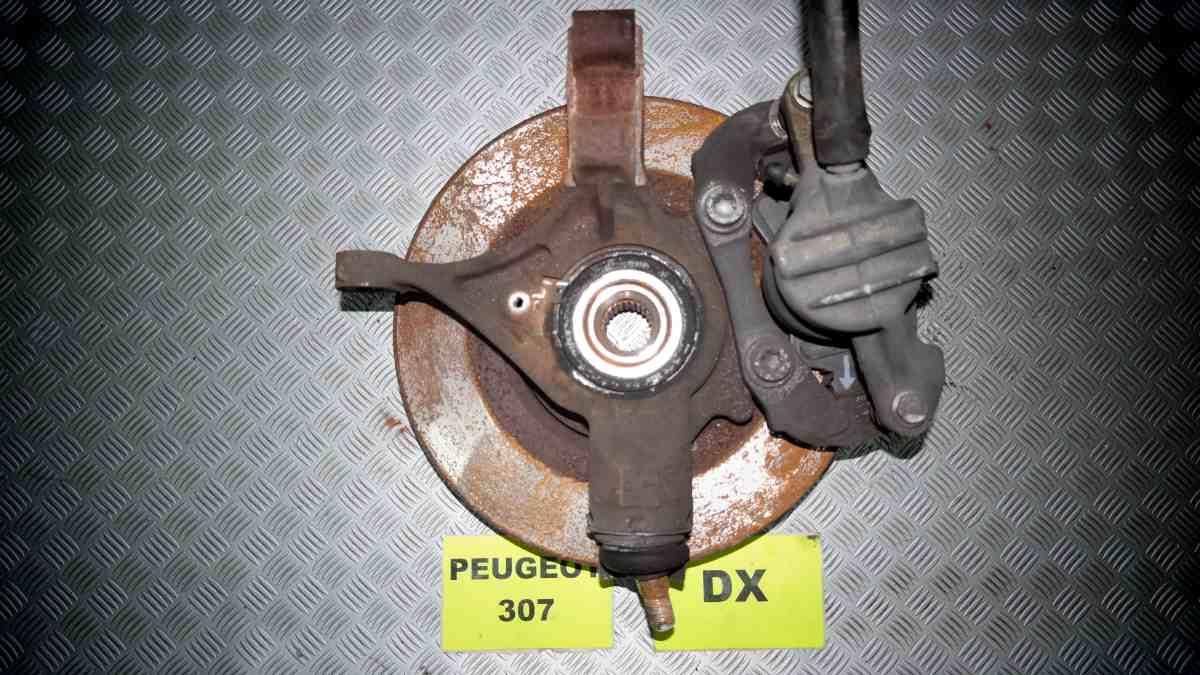Peugeot 307 1400 bz dal 2003 al 2008 montante sx