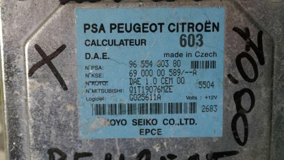 Peugeot 1007 9655460380 centralina elettroguida psa